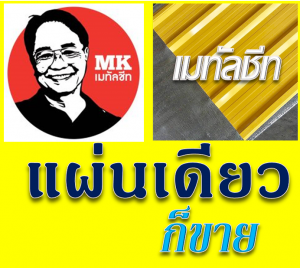 หลังคาเมทัลชีท Metal Sheet Roof