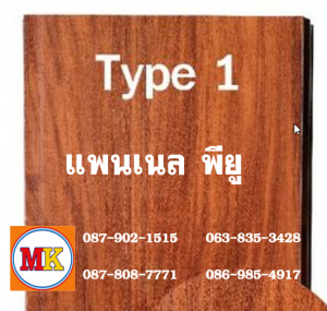 แพนเนล บุฉนวนพียู TYPE 1